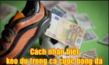 Mách bạn cách nhận biết kèo dụ đơn giản nhất tại nhà cái!